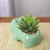 Keramische Mini Bloempot Schattige Plantenbak