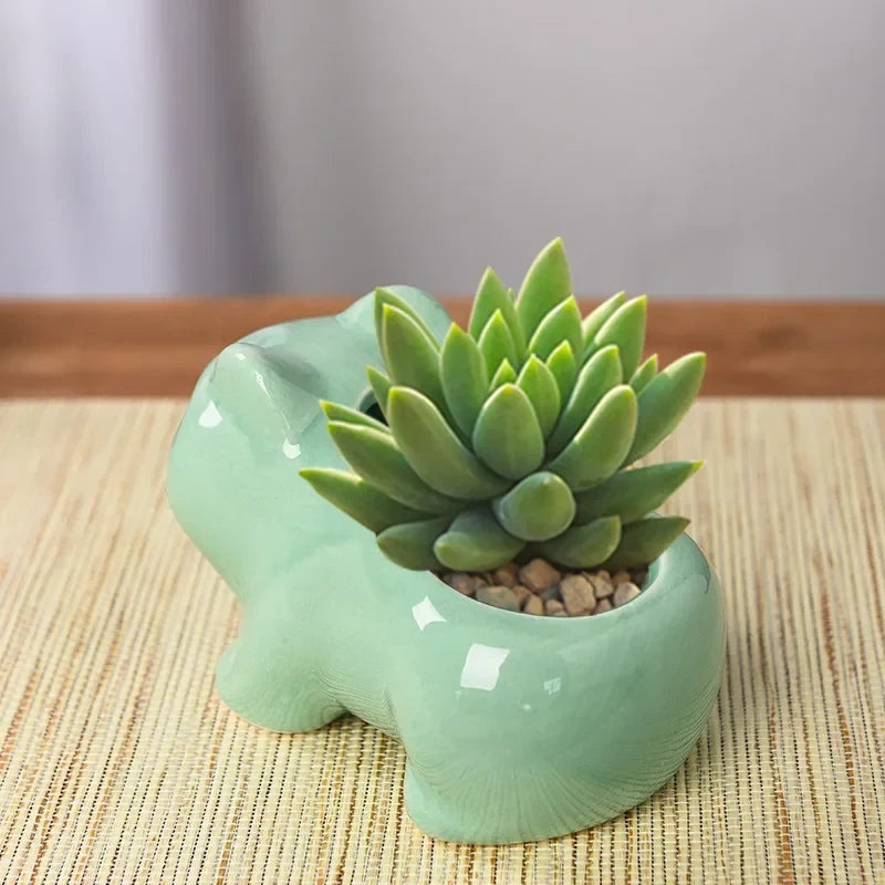 Keramische Mini Bloempot Schattige Plantenbak