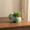Keramische Mini Bloempot Schattige Plantenbak