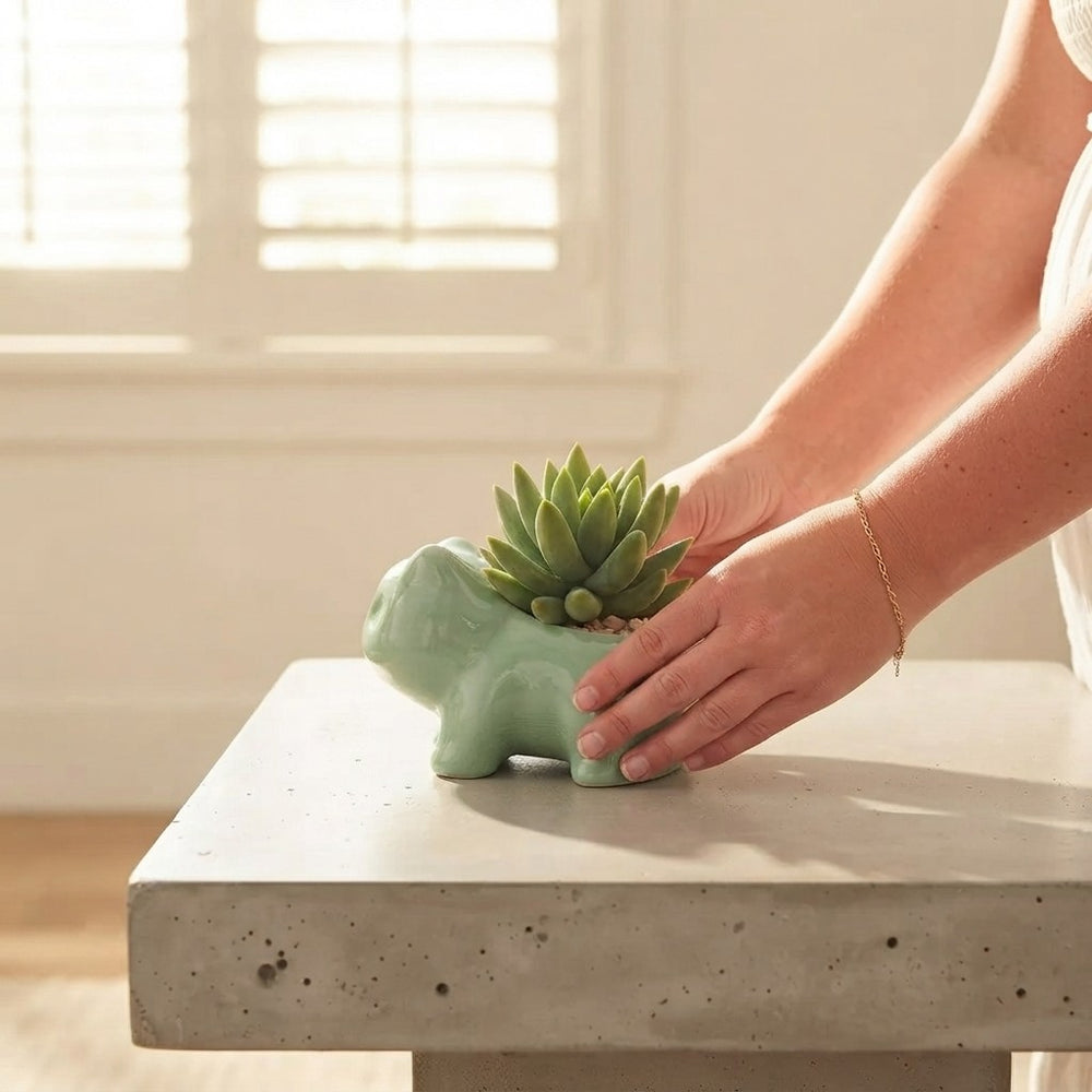 Keramische Mini Bloempot Schattige Plantenbak